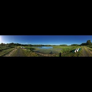 Meet your Posher, Jed